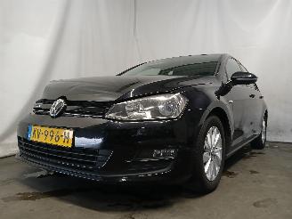 škoda osobní automobily Volkswagen Golf Golf VII (AUA) Hatchback 1.0 TSI 12V BlueMotion (CHZD) [85kW]  (05-201=
5/08-2020) 2017/1