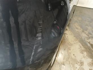 Renault Scenic Scénic III (JZ) MPV 1.4 16V TCe 130 (H4J-700(H4J-A7)) [96kW]  (02-20=
09/09-2016) picture 32