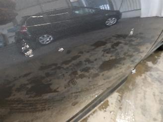 Renault Scenic Scénic III (JZ) MPV 1.4 16V TCe 130 (H4J-700(H4J-A7)) [96kW]  (02-20=
09/09-2016) picture 34