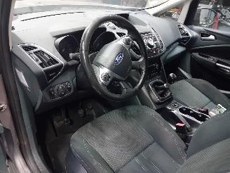 Ford Grand C-Max Grand C-Max (DXA) MPV 1.0 Ti-VCT EcoBoost 12V 125 (M1DA(Euro 5)) [92kW=
]  (10-2012/06-2019) picture 5