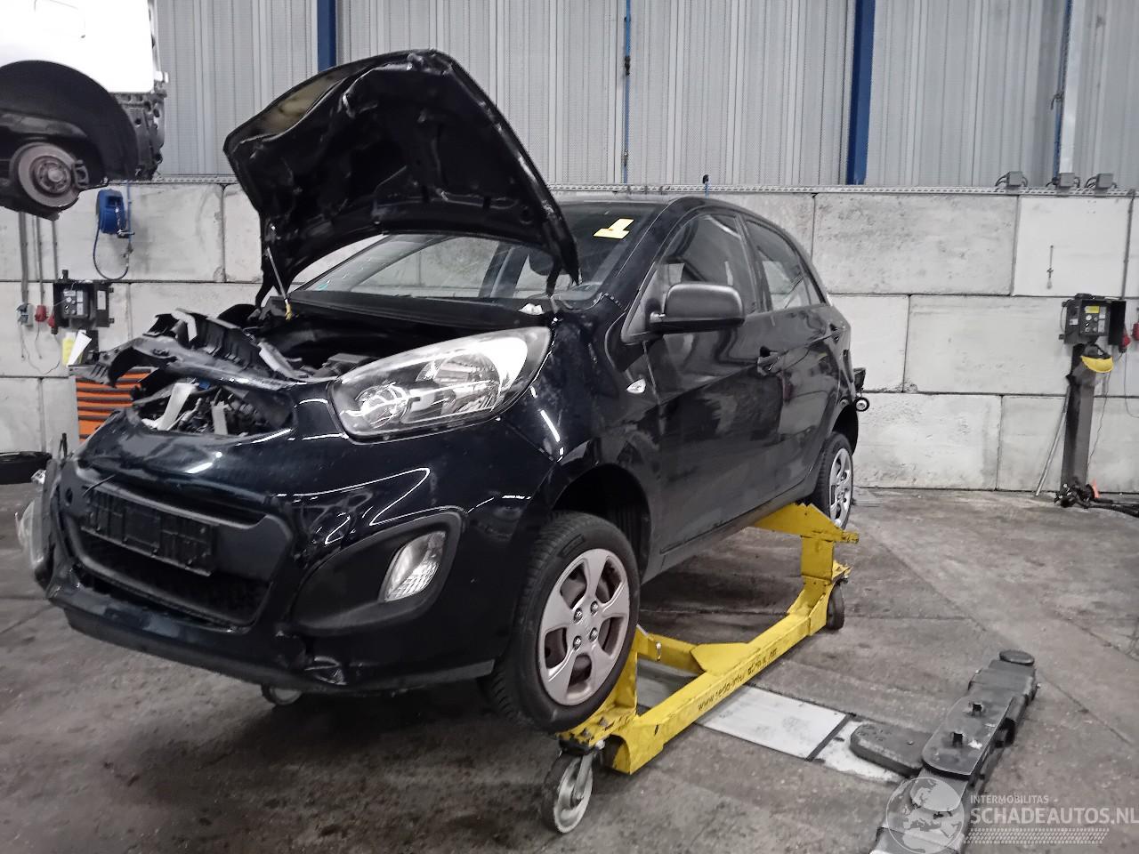 Kia Picanto Picanto (TA) Hatchback 1.0 12V (G3LA) [51kW]  (05-2011/06-2017)