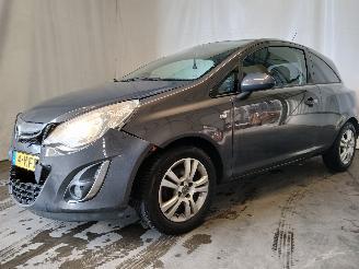 Opel Corsa Corsa D Hatchback 1.2 16V (A12XER(Euro 5)) [63kW]  (12-2009/08-2014) picture 3