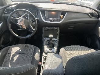 Opel Grandland Grandland (X) SUV 1.2 Turbo 12V (F12XHT(EB2ADTS)) [96kW]  (06-2017/...=
) picture 16