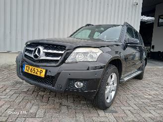 škoda osobní automobily Mercedes Glk-klasse GLK (204.7/9) SUV 3.0 280 V6 24V 4-Matic (M272.948) [170kW]  (06-2008/=
06-2009) 2009/4