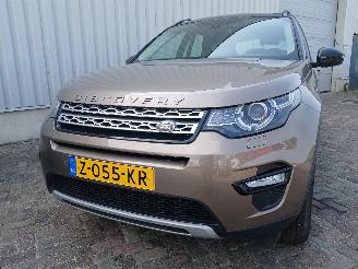 Avarii autoturisme Land Rover Discovery Discovery Sport (LC) Terreinwagen 2.0 TD4 180 16V (204DTD(AJ20D4)) [13=
2kW]  (06-2015/...) 2016/11