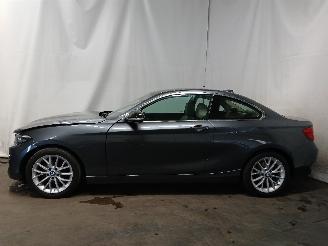 BMW 2-serie 2 serie (F22) Coupé 218i 1.5 TwinPower Turbo 12V (B38-B15A) [100kW] =
 (03-2015/06-2021) picture 4