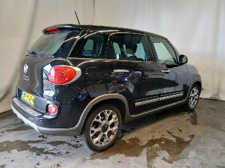 Fiat 500L 500L (199) MPV 0.9 TwinAir Turbo 105 (199.B.6000(Euro 6)) [77kW]  (09-=
2012/...) picture 6