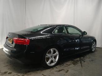 Audi A5 A5 (8T3) Coupé 1.8 TFSI 16V (CABD(Euro 4)) [125kW]  (10-2007/01-2017=
) picture 6