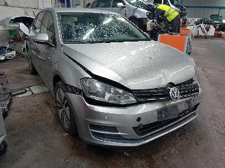 Volkswagen Golf Golf VII (AUA) Hatchback 1.2 TSI 16V (CJZA) [77kW]  (08-2012/03-2020) picture 2