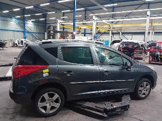 Peugeot 207 207 SW (WE/WU) Combi 1.6 16V (EP6C(5FS)) [88kW]  (06-2007/10-2013) picture 3