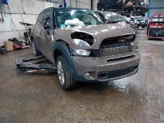 Mini Countryman Countryman (R60) SUV 1.6 16V Cooper S ALL4 (N18-B16A) [135kW]  (08-201=
0/10-2016) picture 2