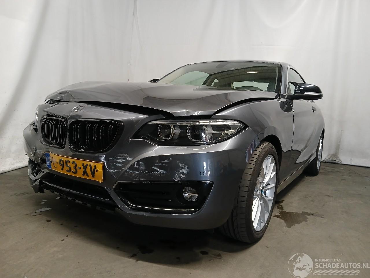 BMW 2-serie 2 serie (F22) Coupé 218i 1.5 TwinPower Turbo 12V (B38-B15A) [100kW] =
 (03-2015/06-2021)