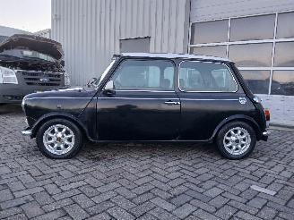 Rover Mini Mini Sedan 1300 Cooper (12A2AF53) [45kW]  (01-1991/12-1991) picture 4