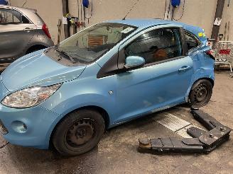  Ford Ka Ka II Hatchback 1.2 (169.A.4000(Euro 4; Euro 5)) [51kW]  (10-2008/05-2=
016) 2010/6