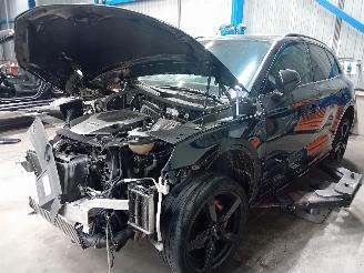  Audi SQ5 SQ5 (FYB/FYG) SUV 3.0 TFSI V6 24V (CWGD) [260kW]  (11-2016/...) 2018/10