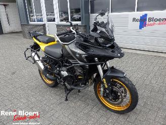 QJMotor SRT 800 SX  picture 7