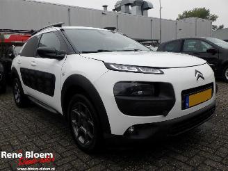 Citroën C4 cactus 1.2 Puretech Business Plus 110pk picture 4