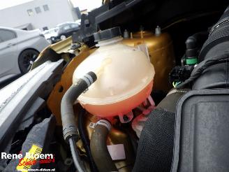 Ford Fiesta 1.0 Ecoboost Active FIrst Edition picture 10