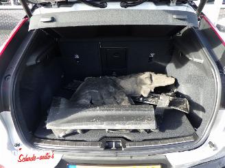 Volvo EC40 Twin Motor Performance Ultra 82kWh picture 16