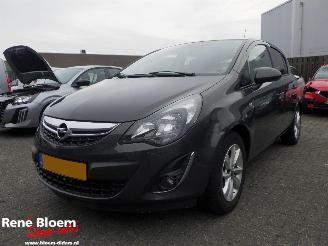Schadeauto Opel Corsa 1.2 Ecoflex Design Edition LPG 2014/4