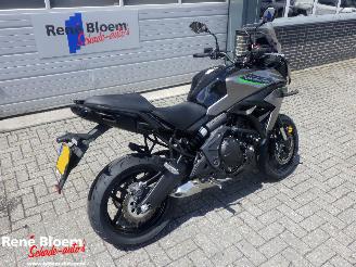 Kawasaki Versys 650 picture 4