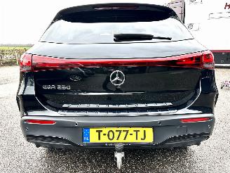 Mercedes EQA 250 AMG 190pk aut + f1 Business Solution 67kWh - navi - widescreen - sfeerverl - camera - elektr klep picture 114