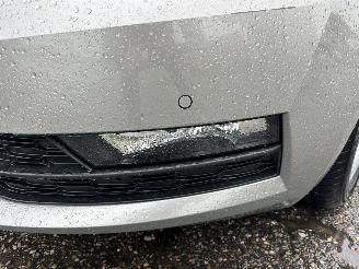 Skoda Octavia 1.0 TSI 115pk 6-bak Greentech Amb Bus sedan - navi - clima - cruise - pdc v+a - licht + regensensor picture 92