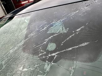 Seat Ibiza 1.0 EcoTSI 95pk Style 5drs - nap - line + front assist - virtual - carplay - pdc - airco - cruise - lmv - led picture 73