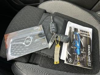 Opel Grandland X 1.2 Turbo 131pk 6-bak Online Edition - nap - navi - clima - cruise - pdc v+a - carplay - privacy glass picture 32