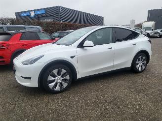 Voiture accidenté Tesla Model Y MODEL Y RWD 58 kWh 52000 km rijdbaar 2024/11
