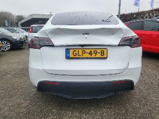 uszkodzony samochody osobowe Tesla Model Y MODEL Y RWD 58 kWh 52000 km rijdbaar 2024/11