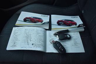 Opel Corsa-E 50Kwh Elegance 136Pk 3FASE *Navi/clima/Camera/Leder picture 19