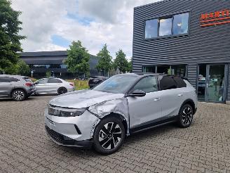 Opel Grandland 1.2 Turbo Hybrid Edition | Techpack picture 8