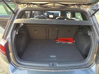 Volkswagen Golf PERFORMANCE /PANO /AUTOM picture 17
