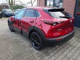 Mazda CX-30 NAGISA LED 2WD picture 5