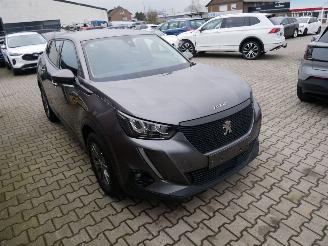 Peugeot 2008 ACTIVE LED picture 2