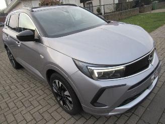 Vaurioauto  passenger cars Opel Grandland GrandLand X 1.2B 130pk AUT. INNOVATION  Climatronic HalfLeer Navi Camera Stoel/StuurVerwarming 2023/4