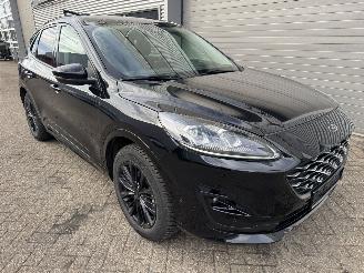 Ford Kuga Kuga 2.5 Duratec PHEV Vignale CVT Panorama picture 5