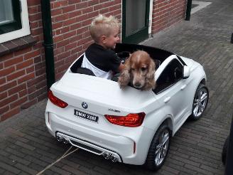 Vaurioauto  other Alle  GESLOTEN t/m 4 Januari 2026 2026/1