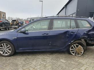 Volkswagen Golf Variant picture 6