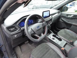 Ford Kuga ST Line X plug-in Hybrid picture 11