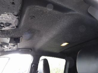 Ford Ranger Wildtrak e-4WD Doppelkabine picture 14