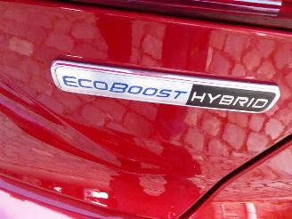 Ford Focus Active picture 5