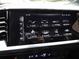 Audi Q4 e-tron 35 e-tron S Line picture 24