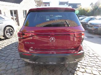 Mercedes EQB 250 picture 9