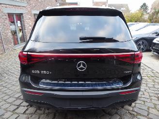 Mercedes EQB AMG Line 250+ picture 8