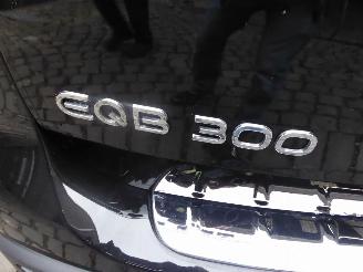 Mercedes EQB 300 4Matic AMG Line picture 10