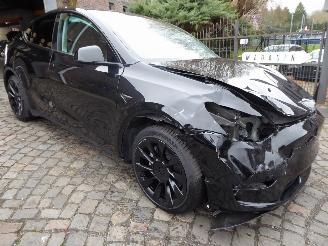 Tesla Model Y Long Range Dual AWD picture 4