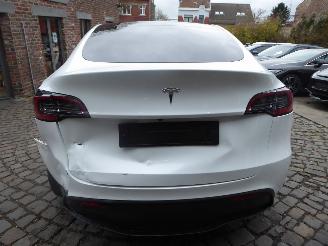 Tesla Model Y Long Range RWD picture 7