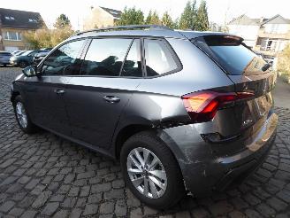 Skoda Kamiq Selection picture 7